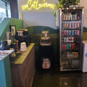 Cats at Play Cafe - Coffee bar and canned drinks. - Themed Cafes Near Me - Asheville, North Carolina