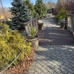 Julies Jungle - Enchanted garden walking path