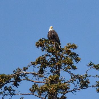Rainbow Tours - Tours Near Me - Homer, Alaska Rainbow Tours - Tours Near Me - Homer, Alaska