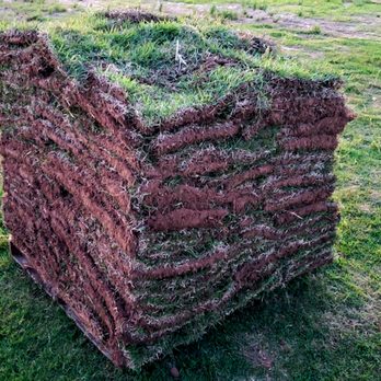 Riverview Turfworks - Sod available - Lawn Services Near Me - Van Buren, Arkansas