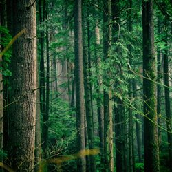 Bell Creek Nature School