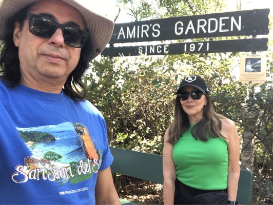 Amir's Garden by null