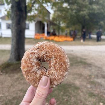 Moulton Farm - Cinnamon sugar apple cider doughnut - Farmers Market Near Me - Meredith, New Hampshire Moulton Farm - Cinnamon sugar apple cider doughnut - Farmers Market Near Me - Meredith, New Hampshire