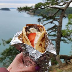 AB's Hillbilly Gyros - Classic gyro