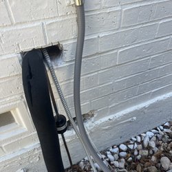 STC Pest & Termite - Entry for rodents