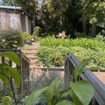 Splendid Holistic Skincare - Garden - Skin Care Near Me - San Francisco, California Splendid Holistic Skincare - Garden - Skin Care Near Me - San Francisco, California