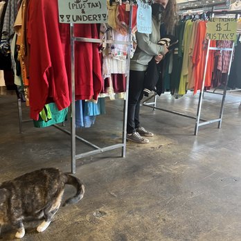 FLEUR STORE ハット　SUNDAYS BEST NO ROLL SUNDAY'S BEST THRIFT APPAREL - Updated August 2025 - 108