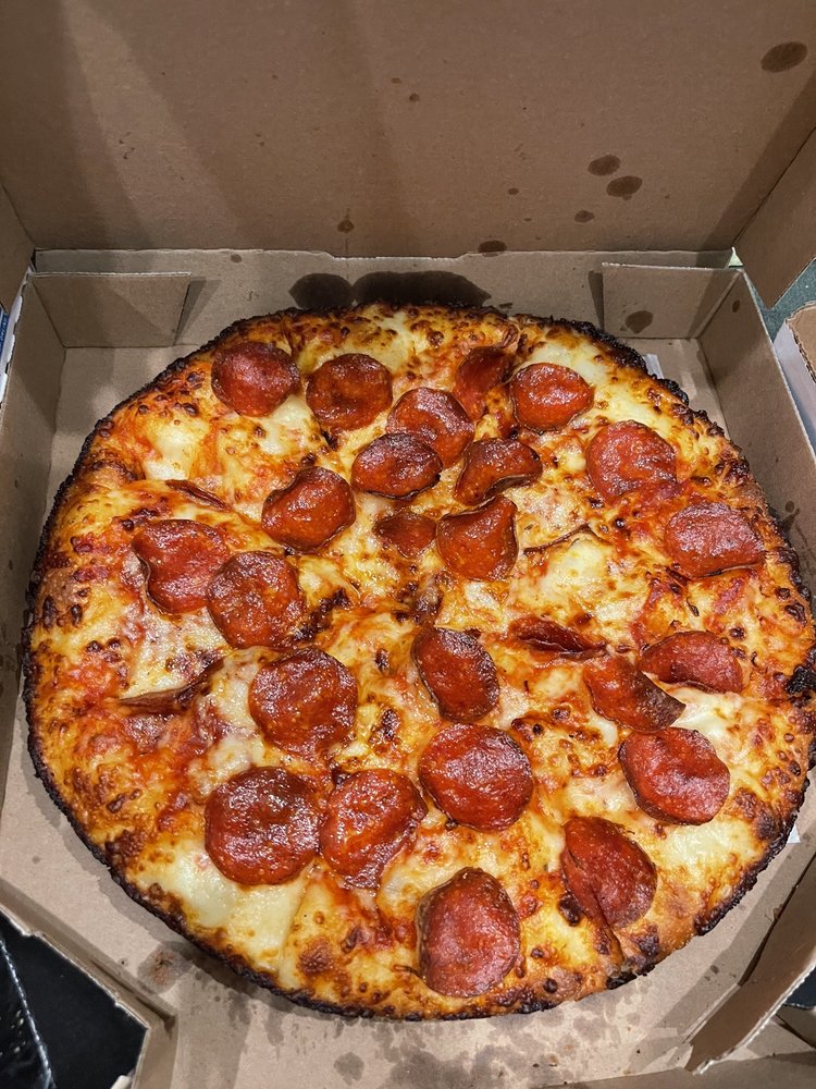 Domino's Pizza Logo