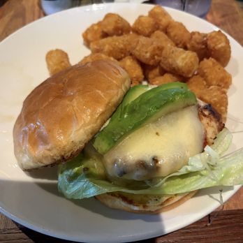 Finn McCool’s Irish Sports Pub - Chicken Avocado Sandwich - Irish Pub Near Me - Wheeling, Illinois