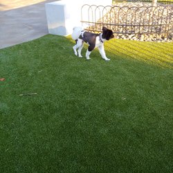 Westwood Town Hall dog park