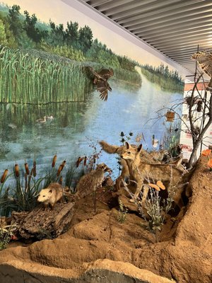 Shipley Nature Center by null