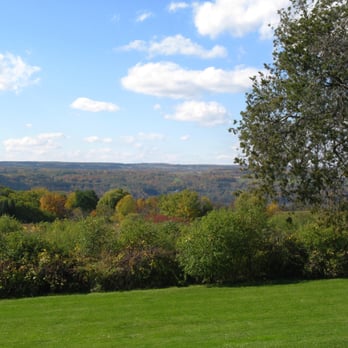 Stonecat Cafe - stunning view from the back outdoor dining area! - Cafes Near Me - Hector, New York Stonecat Cafe - stunning view from the back outdoor dining area! - Cafes Near Me - Hector, New York