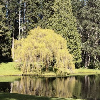 Bloedel Reserve - Parks Near Me - Bainbridge Island, Washington Bloedel Reserve - Parks Near Me - Bainbridge Island, Washington