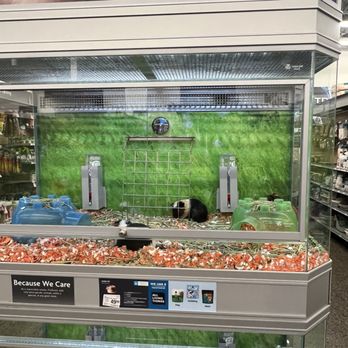 Petsmart - Pet Training Near Me - Albuquerque, New Mexico