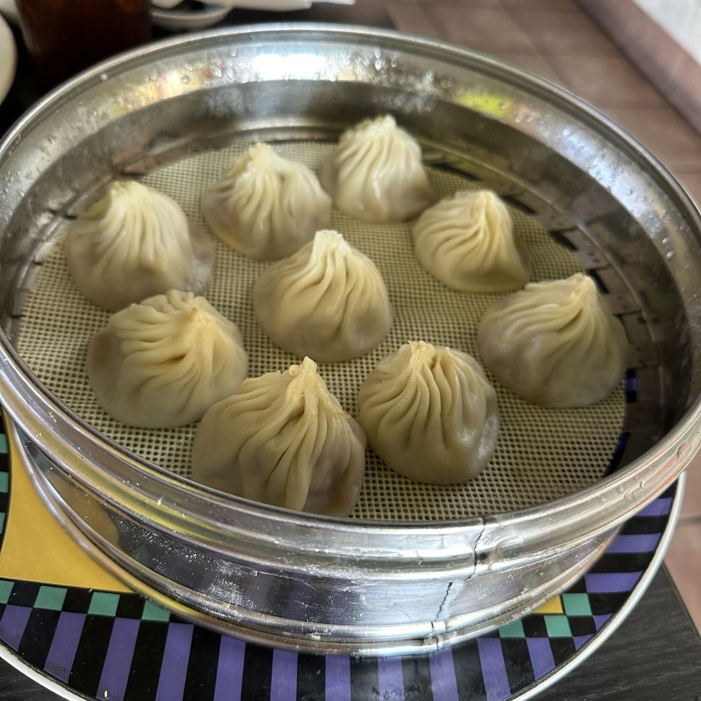 Tasty China - 9. Pork Dumpling - Dim Sum Near Me - Ventura, California Tasty China - 9. Pork Dumpling - Dim Sum Near Me - Ventura, California