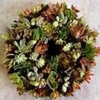 Sunset Nurseries - Nurseries & Gardening Near Me - Tucson, Arizona