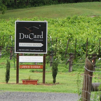 DuCard Vineyards - What we see when we pull up to the property, a personal driveway is next to it..so be careful - Wineries Near Me - Etlan, Virginia DuCard Vineyards - What we see when we pull up to the property, a personal driveway is next to it..so be careful - Wineries Near Me - Etlan, Virginia
