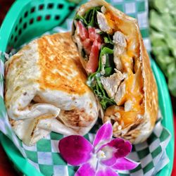 Cilantro Mexican Fusion Food Truck