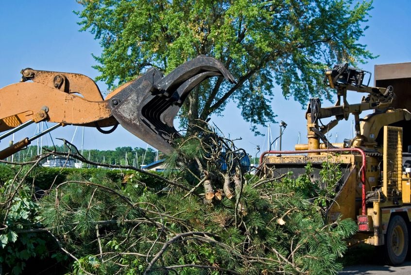 C Mays Tree Experts - tree service in Depew, NY