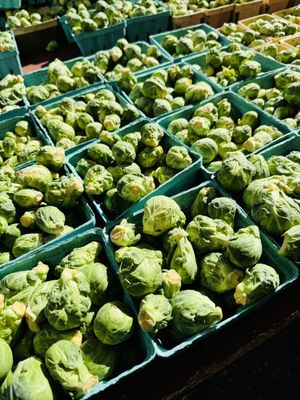 FRESHFARM Downtown Silver Spring Market by null