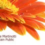 Photo of Carine Thivolle Martinotti
