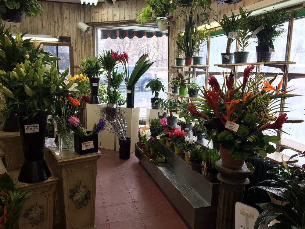 FLORATERIA 93 Photos & 10 Reviews 90 Avenue des Pins O, Montréal