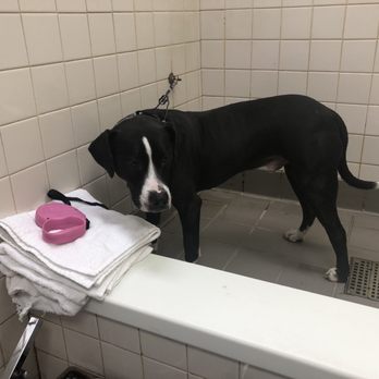 feeders supply pet wash cost