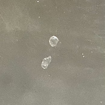 Costco Wholesale - Coating on just under 2 year old lenses bubbling. - Wholesale Stores Near Me - East Lyme, Connecticut Costco Wholesale - Coating on just under 2 year old lenses bubbling. - Wholesale Stores Near Me - East Lyme, Connecticut