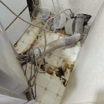 Dryer Vent Cleaning Pro - Jared pulled out my front Loader Dryer Before Service. Dryer vent was disconnected and damaged . - Air Duct Cleaning Near Me