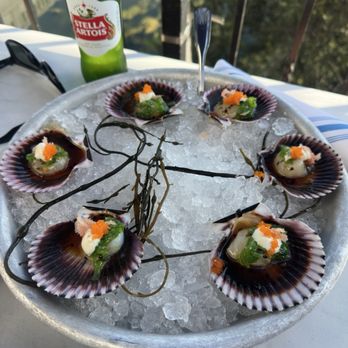 Bluewater Grill - Ponzu Sashimi Sea Scallops - Seafood Near Me - Santa Barbara, California