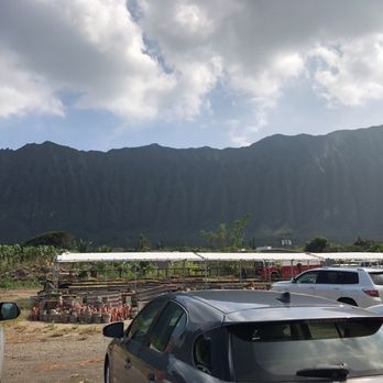 Once Again Hawaii - Nurseries & Gardening Near Me - Waimanalo, Hawaii Once Again Hawaii - Nurseries & Gardening Near Me - Waimanalo, Hawaii