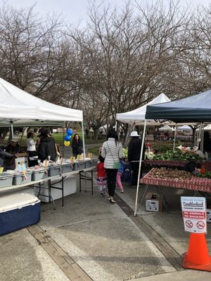 Union City Farmers' Market by null