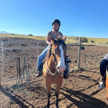 4D Quarter Horses - Horseback Riding Near Me - Kailua-Kona, Hawaii
