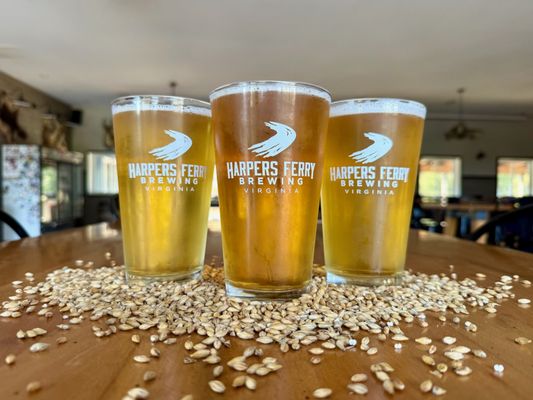 Harpers Ferry Brewing by null