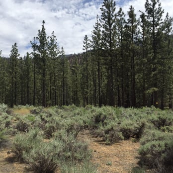 Heart Bar Campground - Right next to our site. - Campgrounds Near Me - San Bernardino, California Heart Bar Campground - Right next to our site. - Campgrounds Near Me - San Bernardino, California