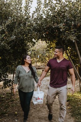 Stone Soup Farm & Heritage Orchard by null