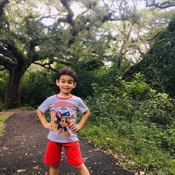 Tree Tops Park - Magical - Parks Near Me - Davie, Florida Tree Tops Park - Magical - Parks Near Me - Davie, Florida