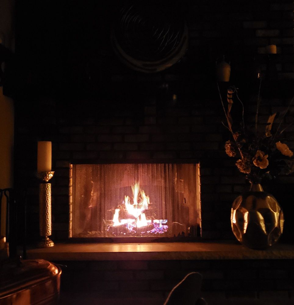 THE BEAR CHEST Updated April 2024 1901 Wisconsin Ave, Beloit