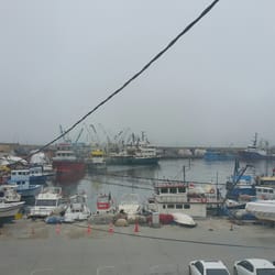 Salas Barınak Balık Restaurant
