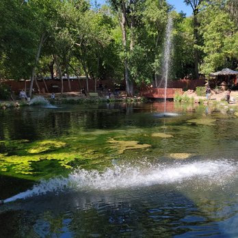 Rainbow Trout Farm - Inside - Fishing Near Me - Sedona, Arizona Rainbow Trout Farm - Inside - Fishing Near Me - Sedona, Arizona
