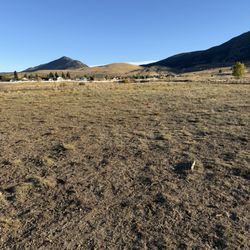Skyline Dog Park & Kids Fishing Pond - Inside fenced dog park