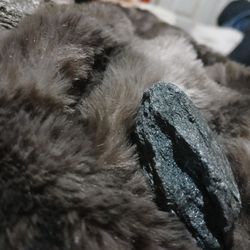Foxtail Gallery