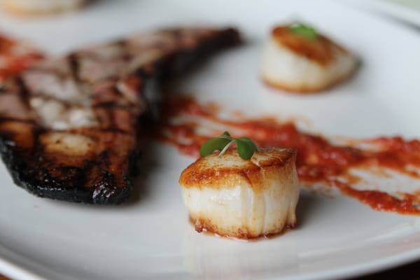 Modern Ocean by null