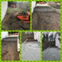 Photo of Neighbors Landscapes