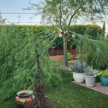 J&G Tree Service - From this ... - Tree Services Near Me