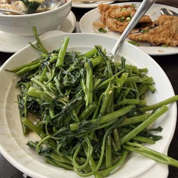 Sam Woo Village BBQ - Garlic stir fried water spinach - Chinese Near Me - Van Nuys, California Sam Woo Village BBQ - Garlic stir fried water spinach - Chinese Near Me - Van Nuys, California