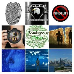 Corporate Security Intelligence Services