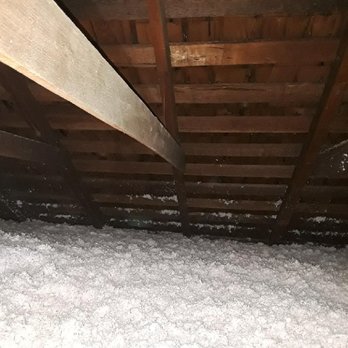 Attic Pros - Pest Control Near Me - Oakland, California