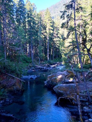 Ohanapecosh Campground by null