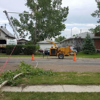 Sullivan Tree Service - Tree Services Near Me - Calgary, Alberta Sullivan Tree Service - Tree Services Near Me - Calgary, Alberta